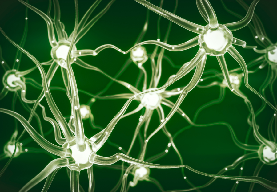 Link. Cite. Rank. Unite: Cracking search in the AI-first era